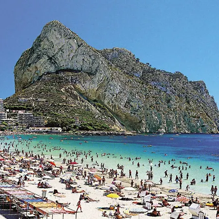 In Alicante 103820 By Mo